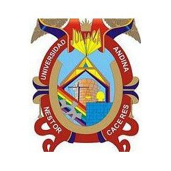 Universidad Andina Néstor Cáceres Velásquez