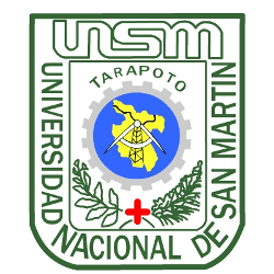 Universidad Nacional de San Martín